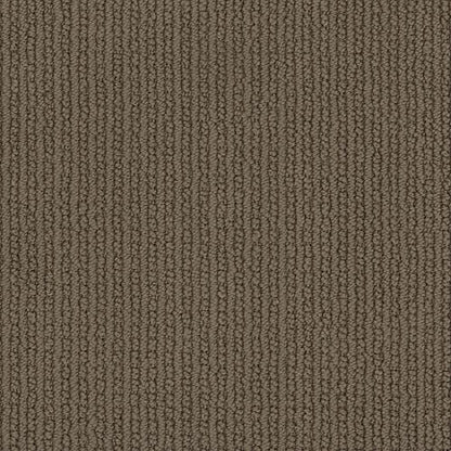 Global Perspective in Polo Carpet