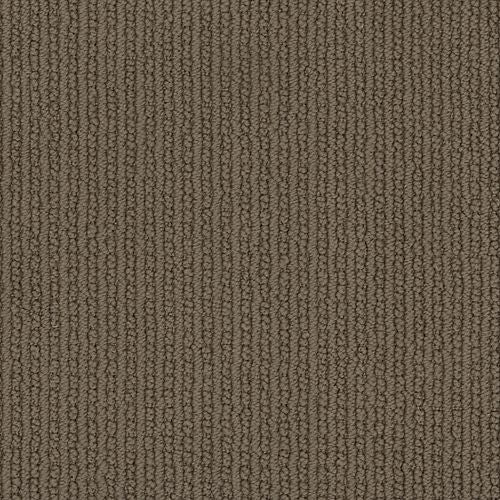 Global Perspective in Polo Carpet