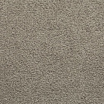 Bold Choice in Cosmopolitan Carpet