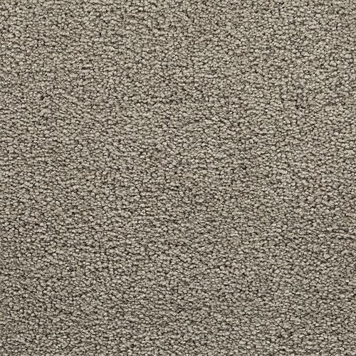 Bold Choice in Cosmopolitan Carpet