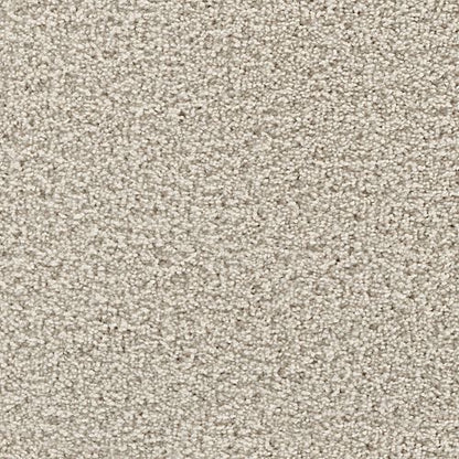Gentle Path in Stardust Carpet