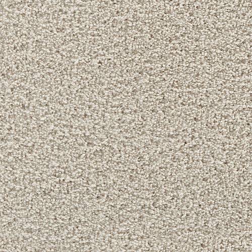 Gentle Path in Stardust Carpet