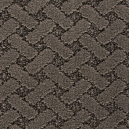 Relaxed Appeal in Sea Lion Carpet