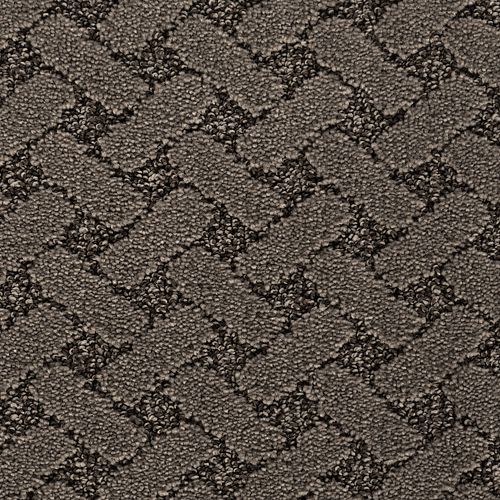 Relaxed Appeal in Sea Lion Carpet