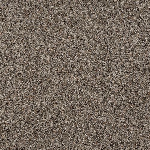 Enchanting Flair in Woodland Carpet