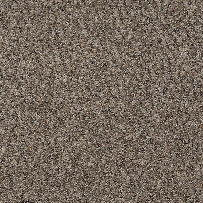 Enchanting Flair in Woodland Carpet