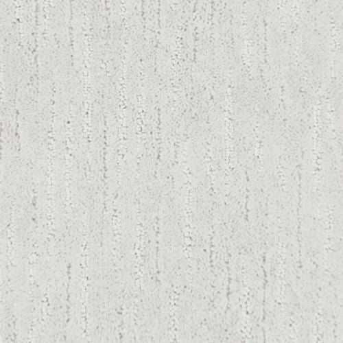 Glamorous Style in Mystic Coast Carpet