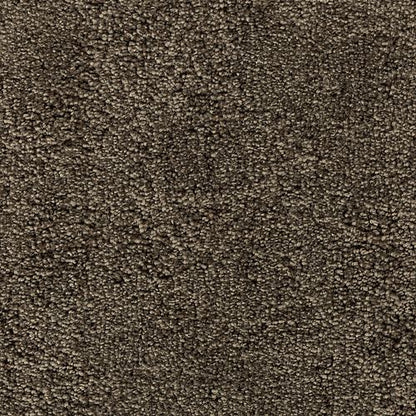 Intriguing Allure in Cathedral Carpet