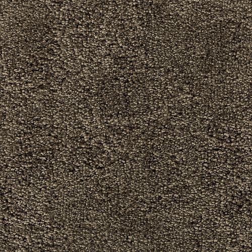 Intriguing Allure in Cathedral Carpet