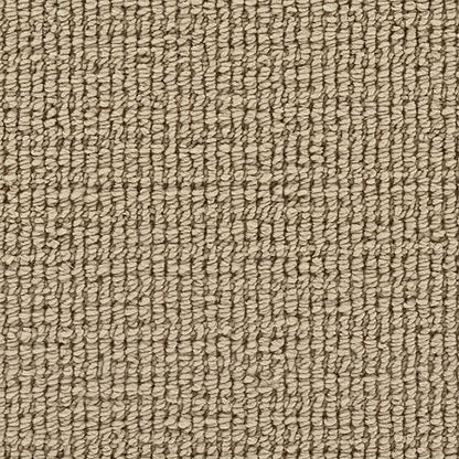 Incredible Style in Sandcastle Carpet