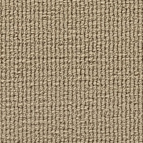 Incredible Style in Sandcastle Carpet