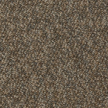 Enduring Amazement in Ghost Town Carpet