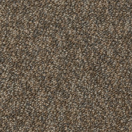 Enduring Amazement in Ghost Town Carpet