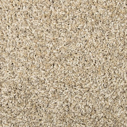 Sophisticated Tones in Greige Carpet