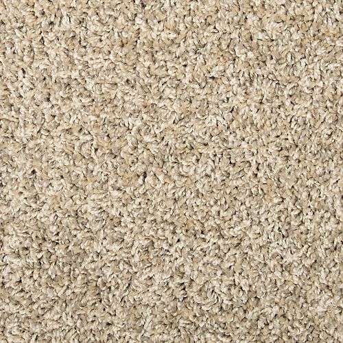 Sophisticated Tones in Greige Carpet