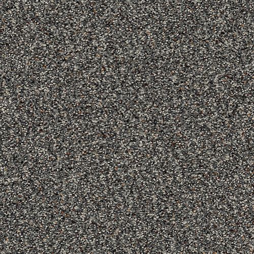 Instinctive Taste in Eternity Carpet
