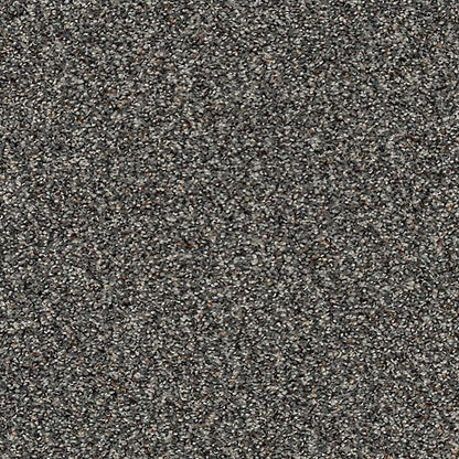 Instinctive Taste in Eternity Carpet