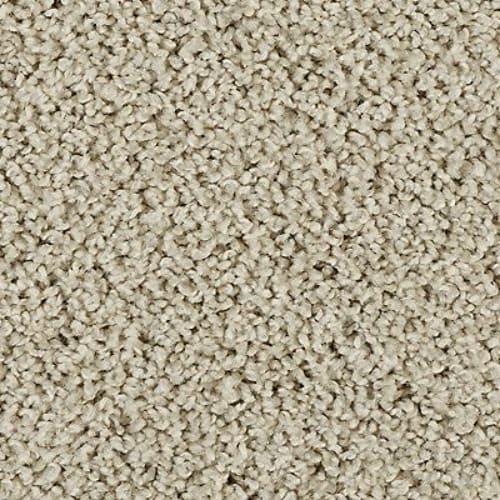 Sleek Tones in Tradewinds Carpet