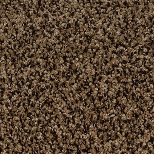 Up The Ante in Mocha Brown Carpet