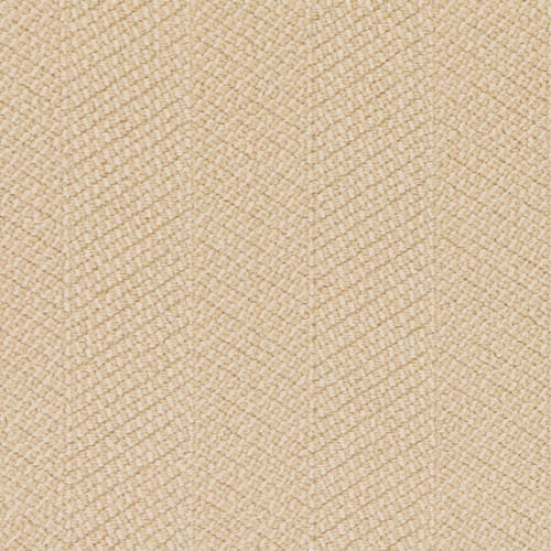 Stitchery in Emilio Carpet