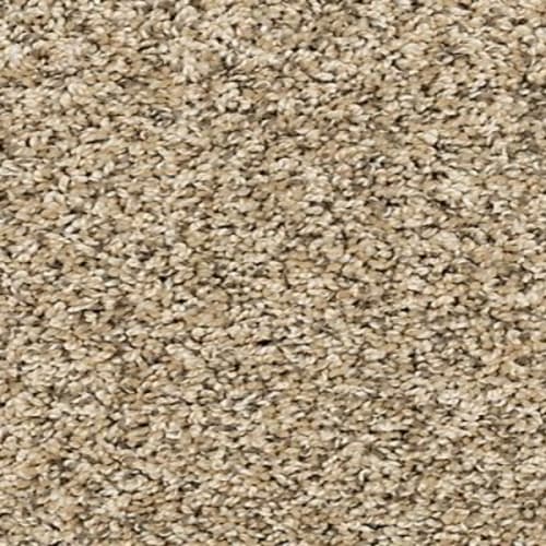 Diffurent Choice III in Bisque Carpet