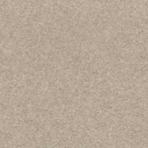 Lakewood Drive I in Ontario Carpet