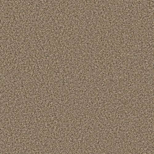 VENTURE BERBER