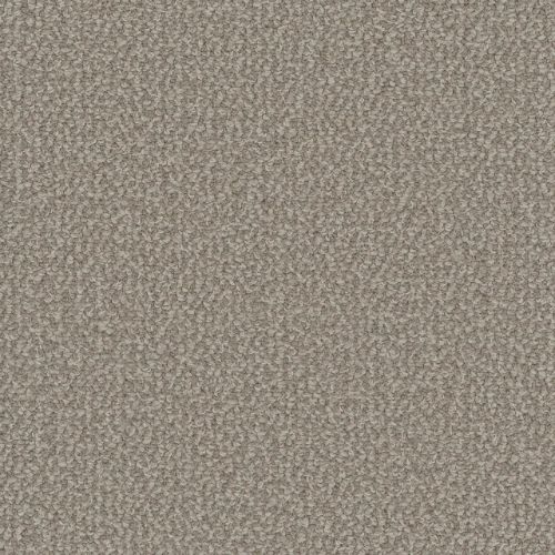 INTERSTELLAR in Pebble Hill Carpet