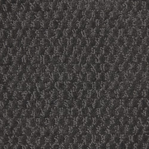Perfect Setting in Charcoal Carpet
