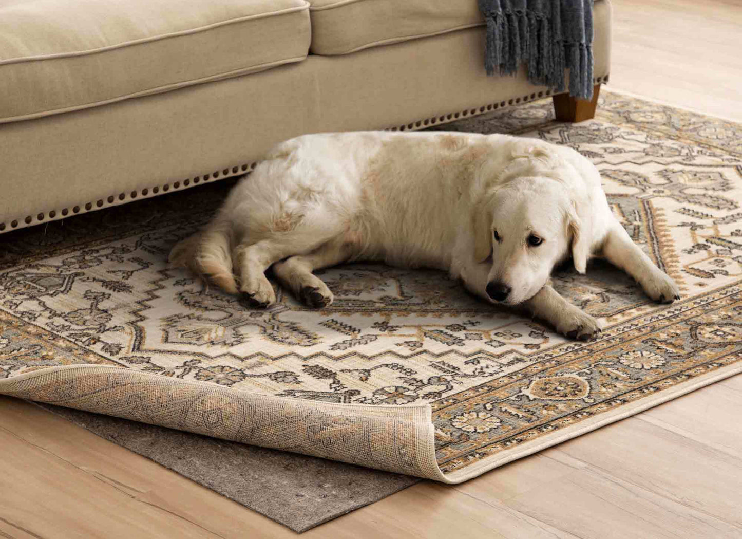 Pet Proof Rug Pad Grey in Grey 3'X5' Area Rugs
