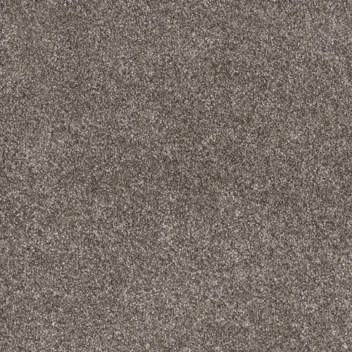 GOLD STANDARD II in Pewter Carpet