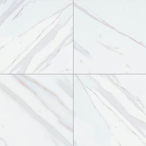 Pietra in Calacatta - 24x24 Matte Tile