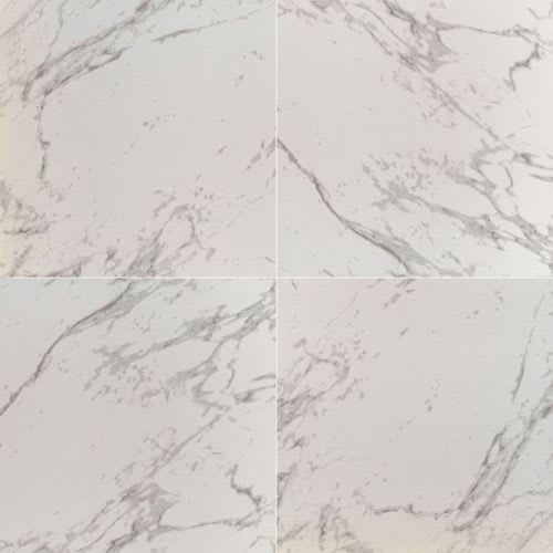 Pietra in Carrara - 24x24 Polished Tile