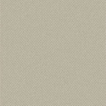 Poetic - Fluid in Fluid Area Rugs