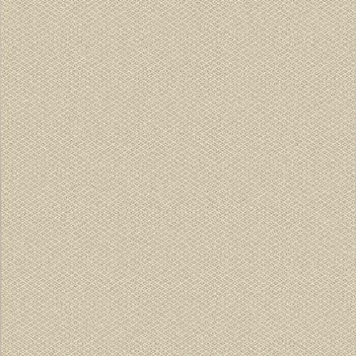 Poetic - Muslin in Muslin Area Rugs