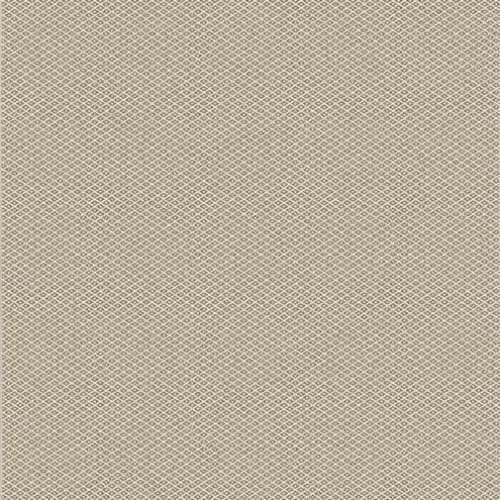 Poetic - Taupe in Taupe Area Rugs