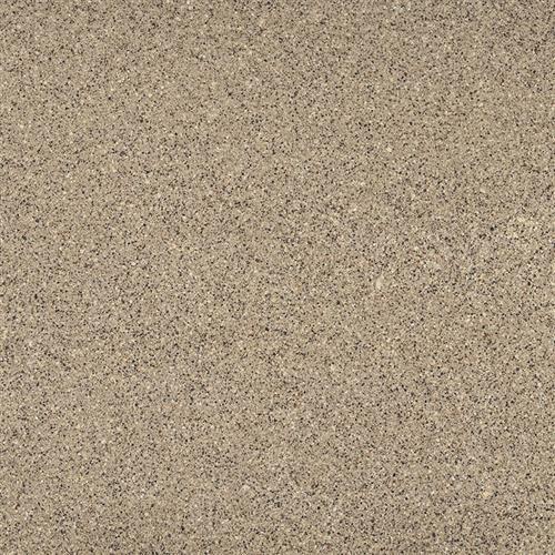 Q Premium Natural Quartz in Coronado Solid Surface