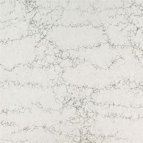 Q Premium Natural Quartz in Lido Blanco Solid Surface