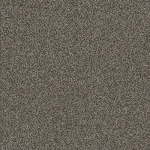 TITAN II in Quail Hollow Carpet