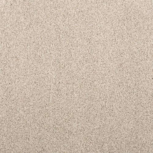 Quest Plush II in Limestone Carpet