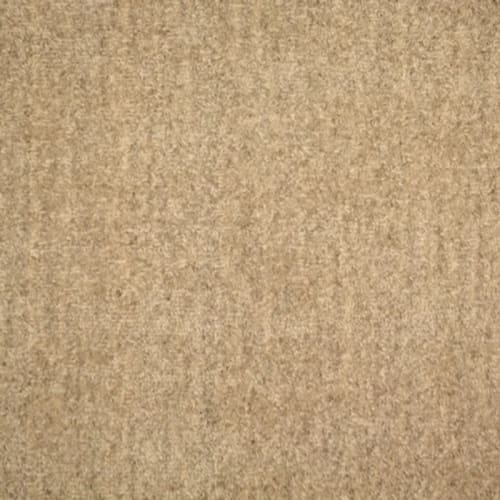 Rave in Beach Carpet