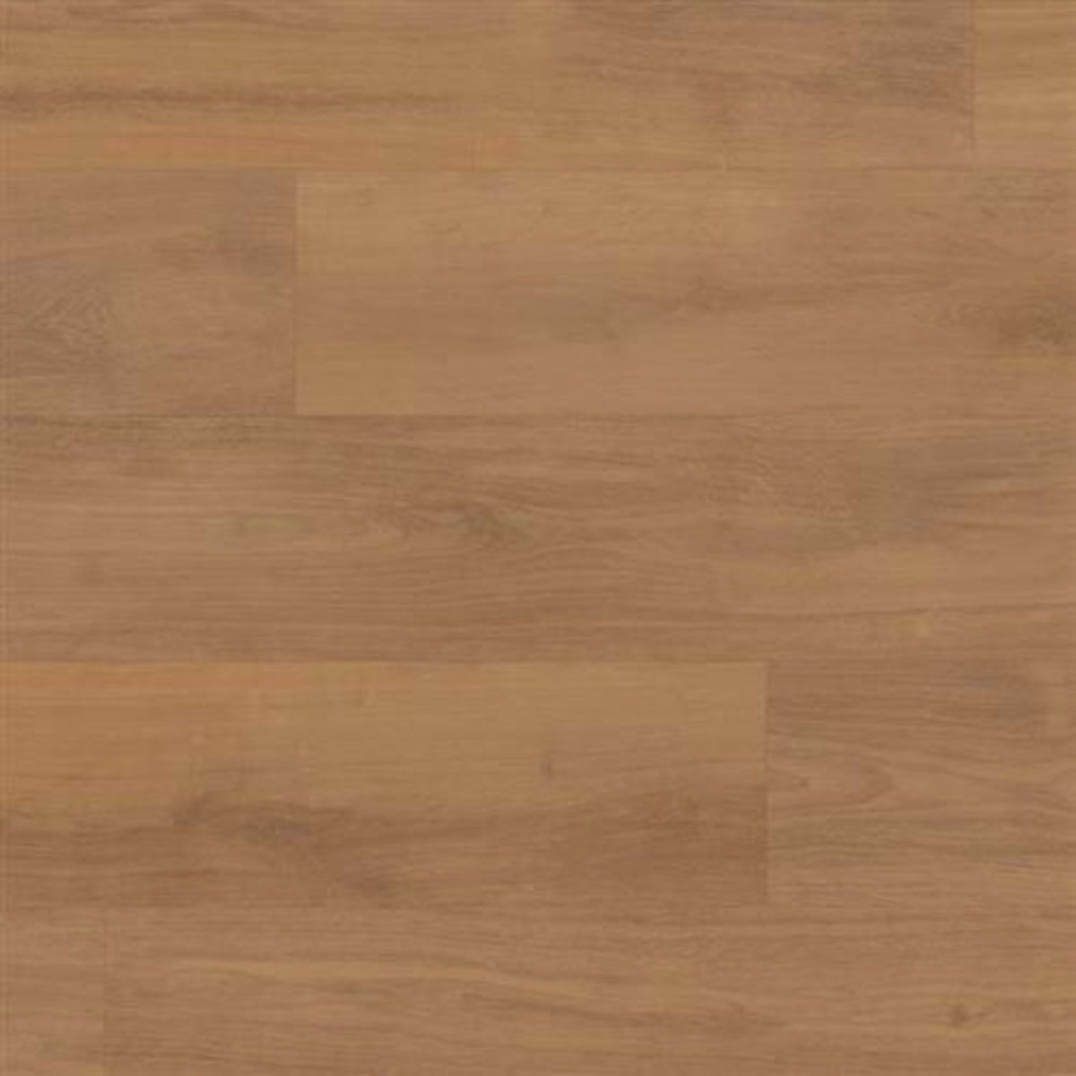 Korlok Select in Barley Oak Luxury Vinyl