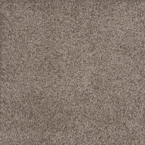 Rustic Retreat II in Clay Pot Carpet