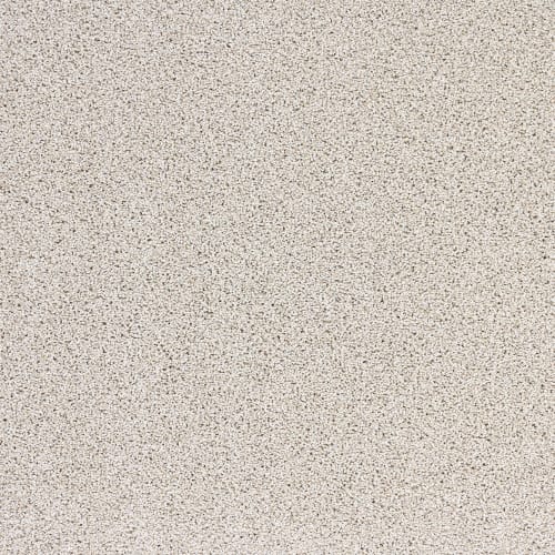 Real Appeal in Sand Castle Carpet