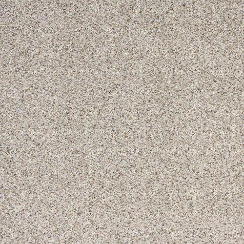 Reflections in Panorama Carpet