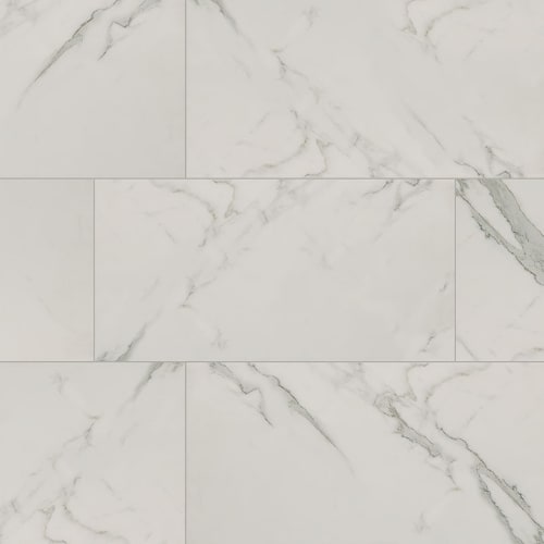 Regallo in Calacatta Isla - 12x24 Matte Tile