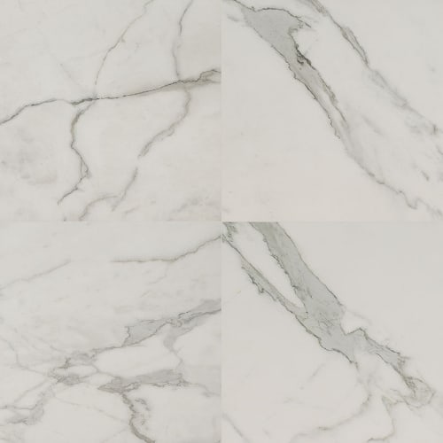 Regallo in Calacatta Isla - 24x24 Matte Tile