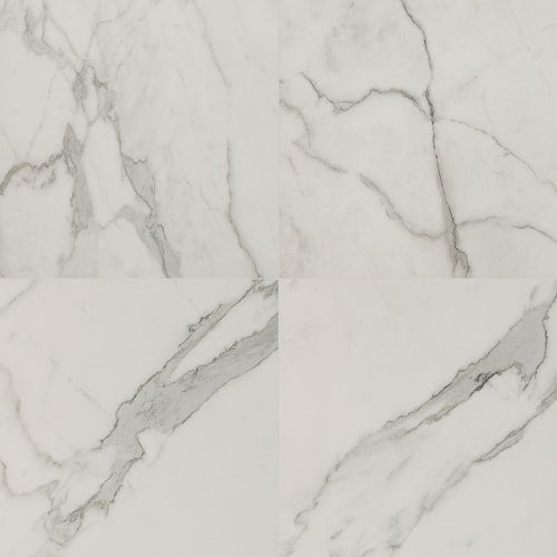 Regallo in Calacatta Isla - 24x24 Polished Tile