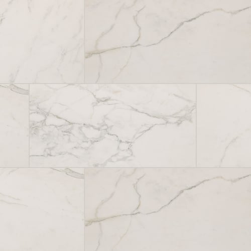 Regallo in Calacatta Isla - 24x48 Matte Tile