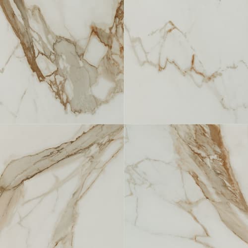 Regallo in Calacatta Marbella - 24x24 Polished Tile